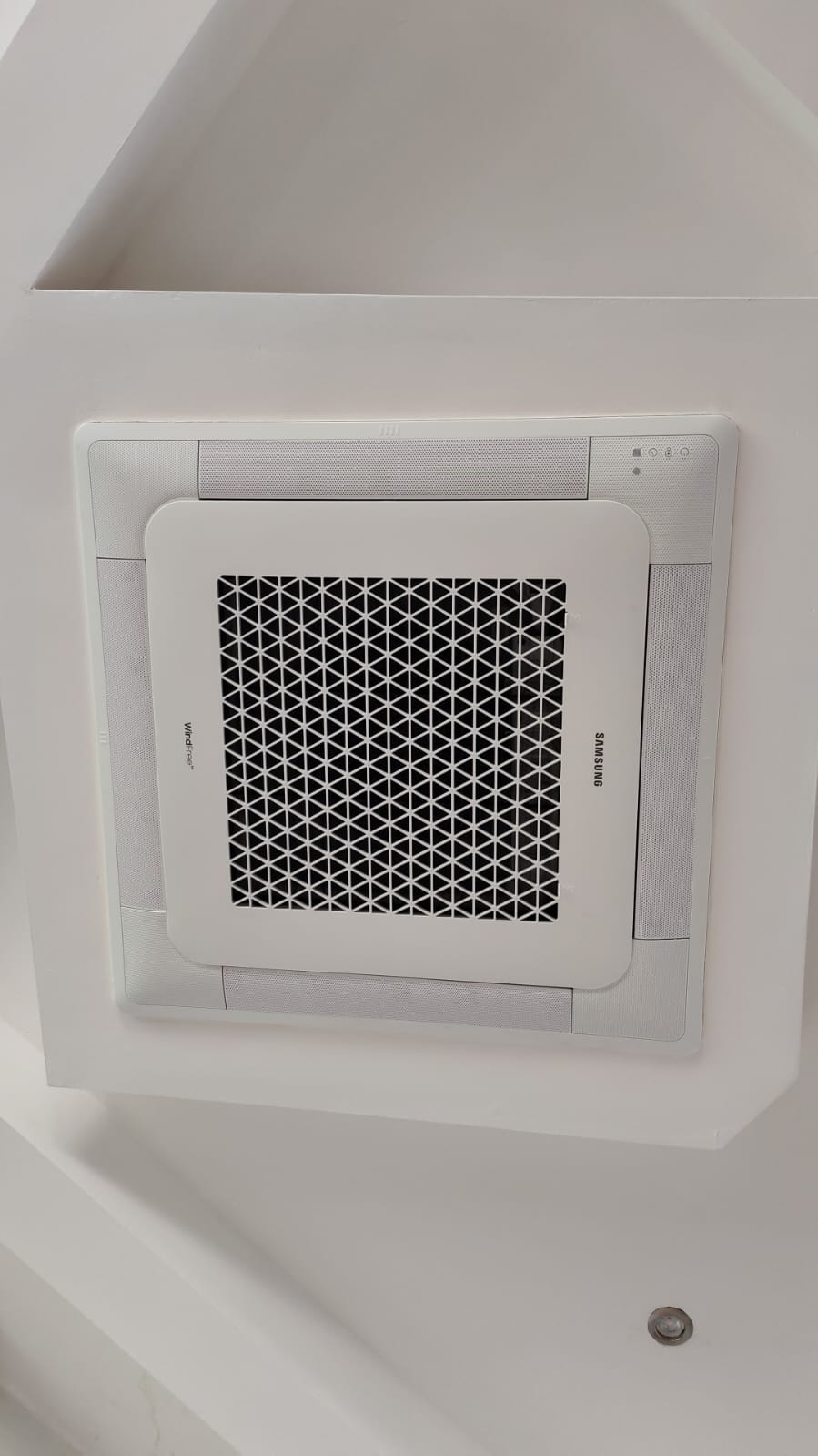 WhatsApp Image 2026-01-20 at 11.19.54 (1)