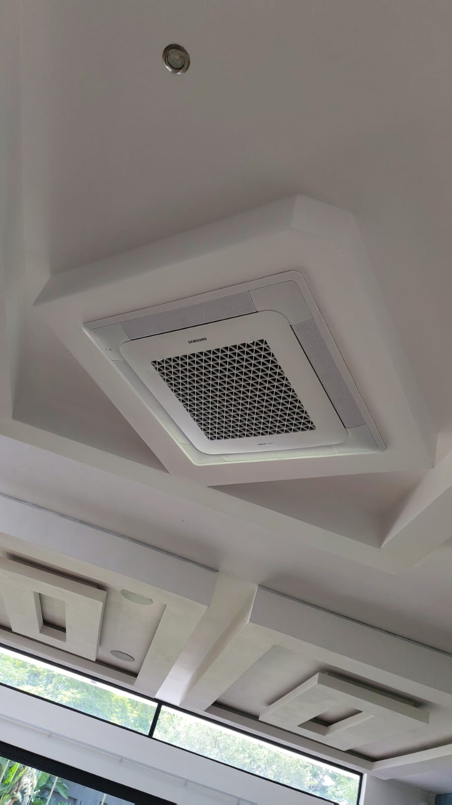 WhatsApp Image 2026-01-20 at 11.19.54